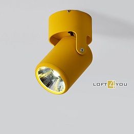 Спот Spot Color 2 L08723