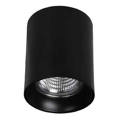 Светильник потолочный Crystal Shine CRSH-10082