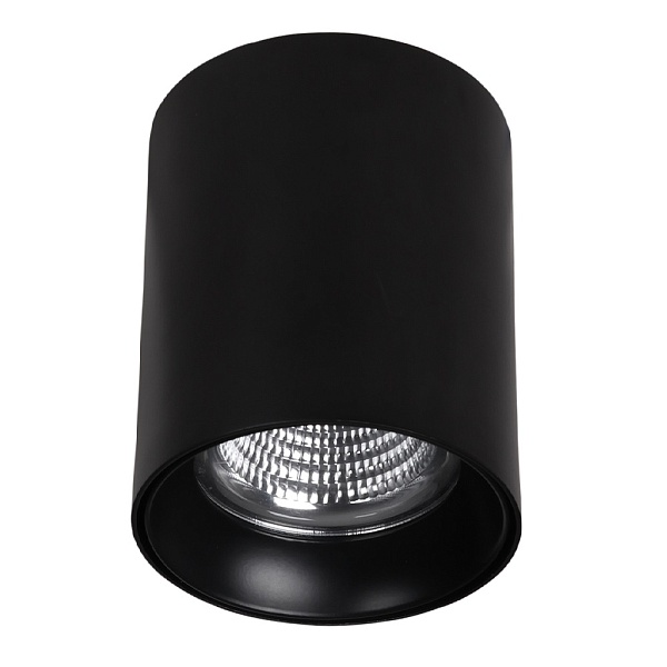 Светильник потолочный Crystal Shine CRSH-10082