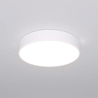 Потолочный светильник Eurosvet Entire 90319/1 белый a063077