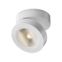 Светильник потолочный Maytoni Alivar C022CL-L12W