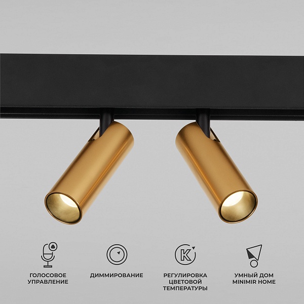 Светильник трековый Elektrostandard Slim Magnetic 4690389195259