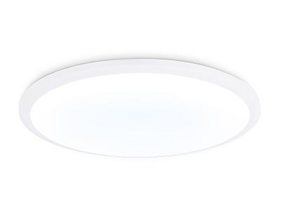 Потолочный светодиодный светильник Ambrella Light ORBITAL FZ1232