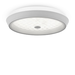 Потолочный светильник Freya LED FR10012CL-L24W