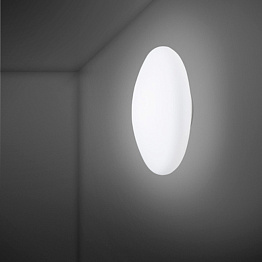 Настенный/Потолочный светильник Fabbian F07G1301