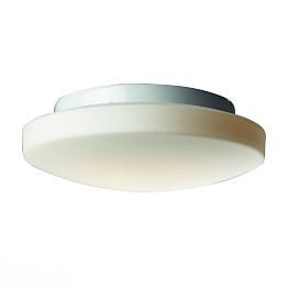 Потолочный светильник ST Luce Bagno SL500.502.02