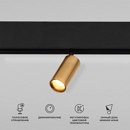 Светильник трековый Elektrostandard Slim Magnetic 4690389195303