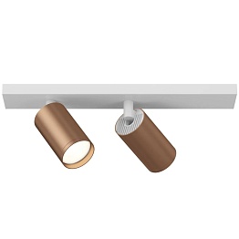 Потолочный светильник Maytoni Ceiling & Wall Focus S C051CL-2WC