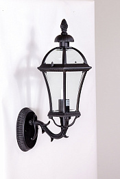 Настенный уличный светильник Oasis Light ROME L 95201/15 L