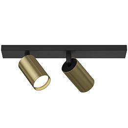 Потолочный светильник Maytoni Ceiling & Wall Focus S C051CL-02BBS