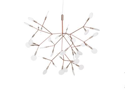 Люстра Heracleum D67