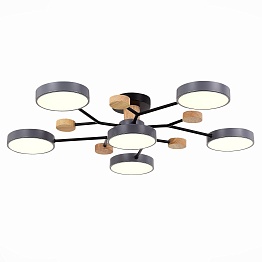 Светильник потолочный EVOLUCE FAEMA SLE6006-702-06