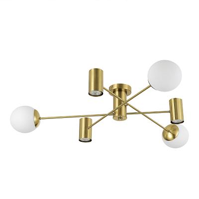 Светильник потолочный Evoluce RAITO SLE1105-302-06