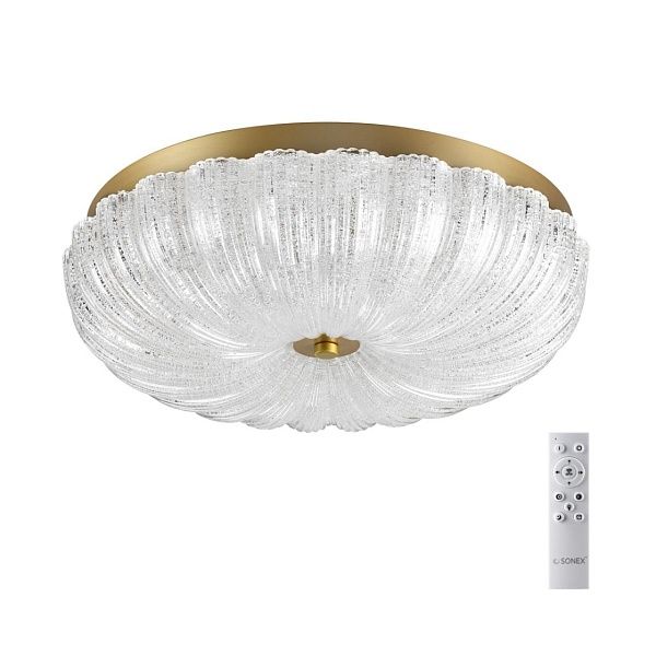 Потолочный светильник СОНЕКС PIKO LED 7719/48L