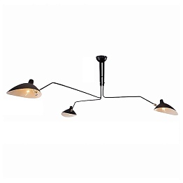 Подвесная люстра L'Arte Luce Luxury Spider L05603