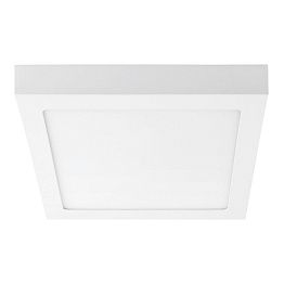 Настенно-потолочный светильник Lightstar Zocco 324122