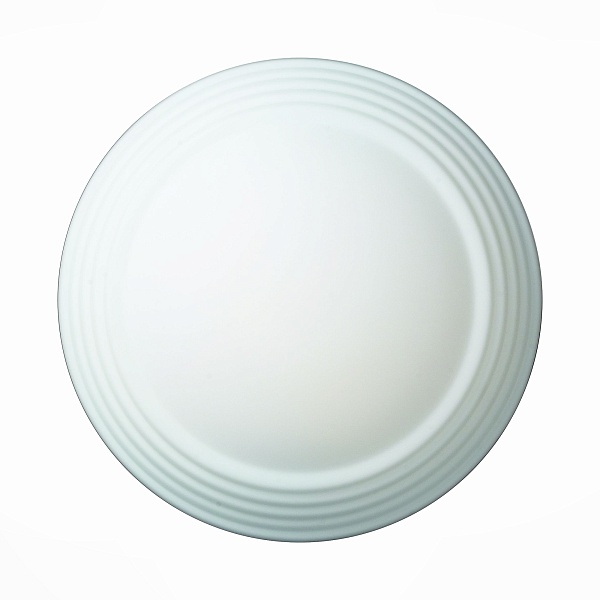 Потолочный светильник ST Luce Bagno SL506.502.01