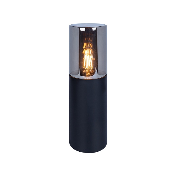 Светильник ландшафтный Arte Lamp WAZN A6218FN-1BK
