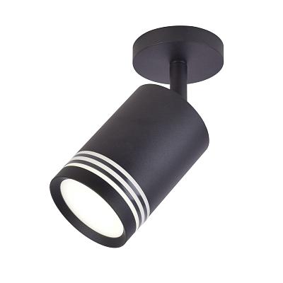 Настенно-потолочный светильник Flare Light FLR-10646