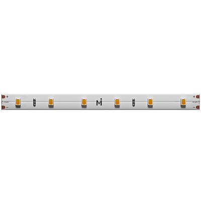 Светодиодная лента Maytoni Led Strip 201177