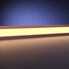 Светодиодная лента Maytoni Led Strip 201285