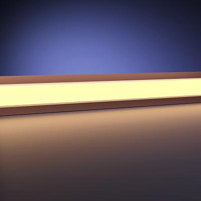 Светодиодная лента Maytoni Led Strip 201285