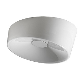 Настенный/Потолочный светильник Foscarini 191005 11