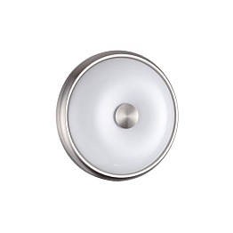 Настенно-потолочный светильник Odeon Light PELOW 4957/2