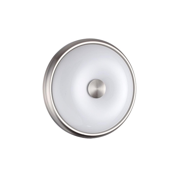 Настенно-потолочный светильник Odeon Light PELOW 4957/2