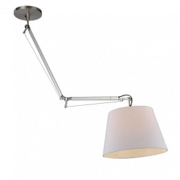Подвесной светильник Tolomeo Sospensione Decentrata Loft Concept 40.1207
