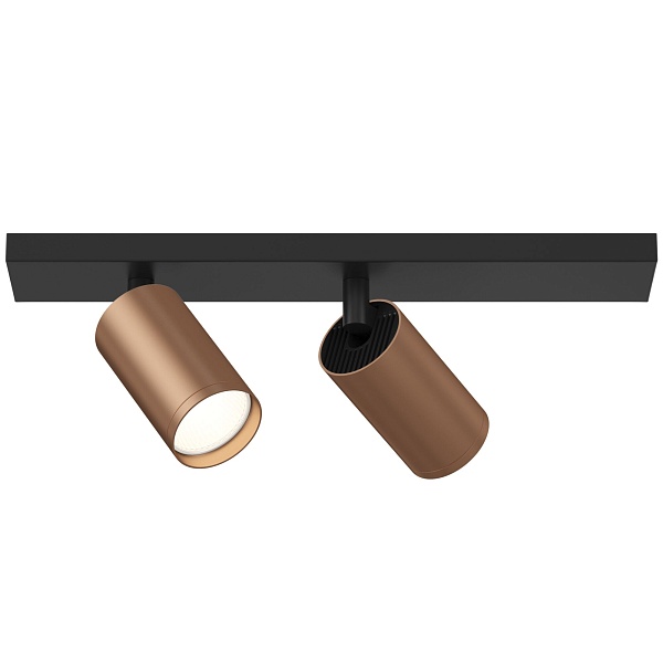 Потолочный светильник Maytoni Ceiling & Wall Focus S C051CL-02BC