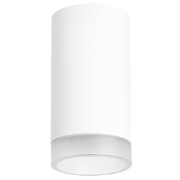 Накладной светильник с торцевой насадкой с рассеивателем Lightstar Rullo R43630
