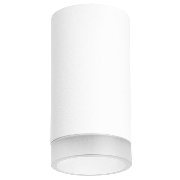 Накладной светильник с торцевой насадкой с рассеивателем Lightstar Rullo R43630
