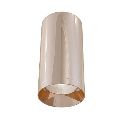 Потолочный светильник Maytoni Ceiling & Wall C017CW-01RG