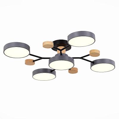 Светильник потолочный EVOLUCE FAEMA SLE6006-702-05