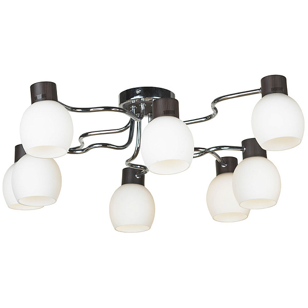 Потолочная люстра Lussole Carpino LSC-8503-08