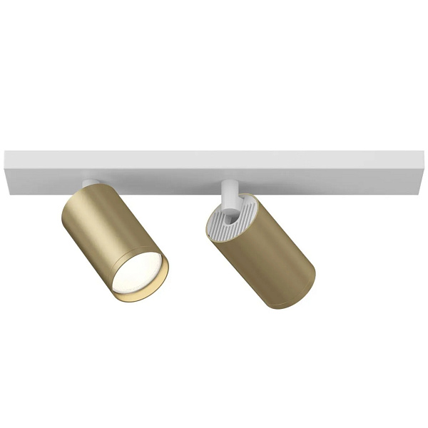 Потолочный светильник Maytoni Ceiling & Wall Focus S C051CL-2WMG