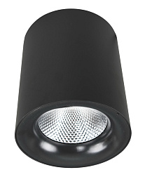 Светильник потолочный Arte Lamp FACILE A5112PL-1BK