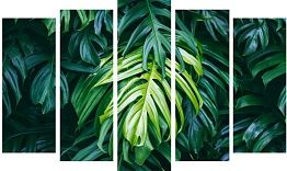 Пятимодуль Toplight TL-PM0039