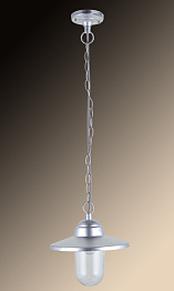 Уличный подвесной светильник Arte Lamp Portico A1551SO-1SS