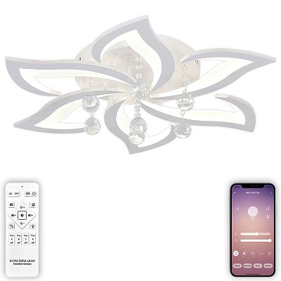 Светодиодный светильник с пультом ДУ Natali Kovaltseva OLIMP LED LAMPS 81238