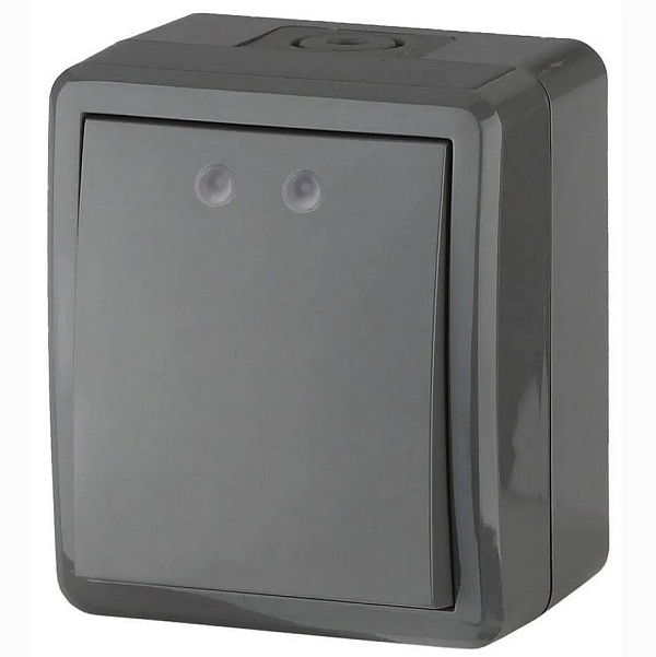 Выключатель одноклавишный ЭРА Эксперт 10AX 250V IP54 11-1401-03 Б0020670