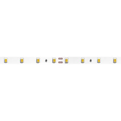 Светодиодная лента 24V 4,8W/m 3100К 5м Arte Lamp TAPE A2406008-01-3K