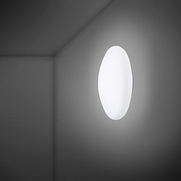 Настенный/Потолочный светильник Fabbian F07G1101