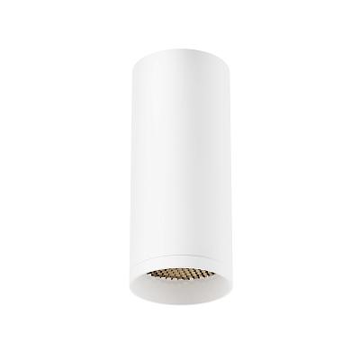 Потолочный светильник Maytoni Technical C010CL-01W-N