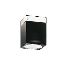 Настенный/Потолочный светильник Fabbian D28G0202 Nero