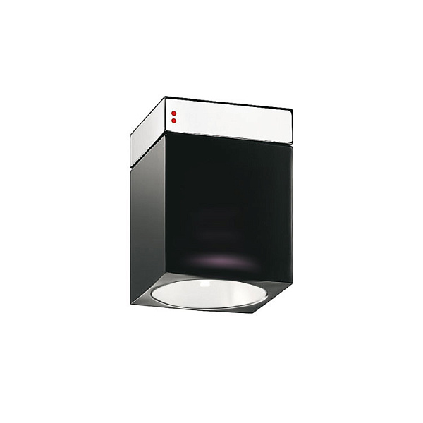 Настенный/Потолочный светильник Fabbian D28G0202 Nero