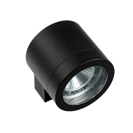 Светильник уличный настенный Paro Lightstar 350617