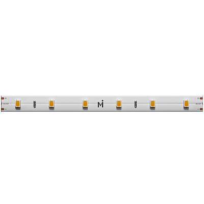 Светодиодная лента Maytoni Led Strip 201011