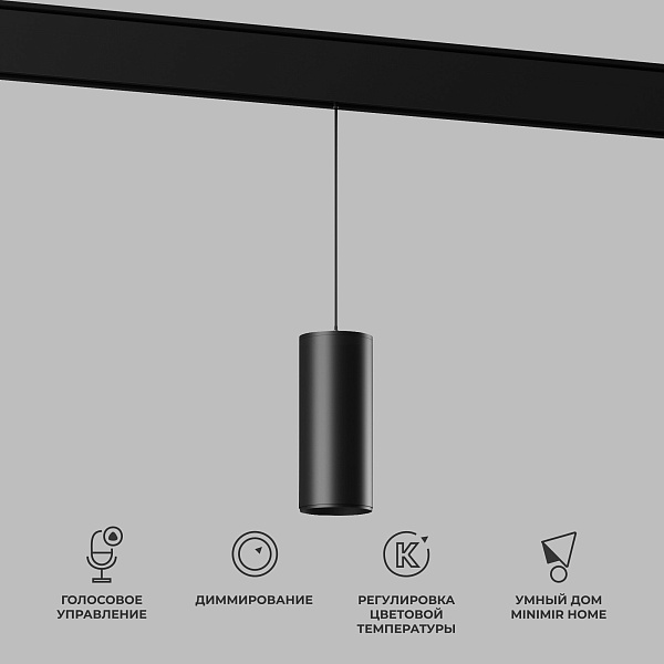 Светильник трековый Elektrostandard Slim Magnetic 4690389195334